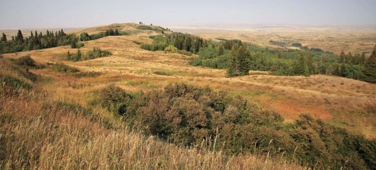 Centraal Canada SK Cypress Hill Interprovincial Park glooiende heuvels en graslanden