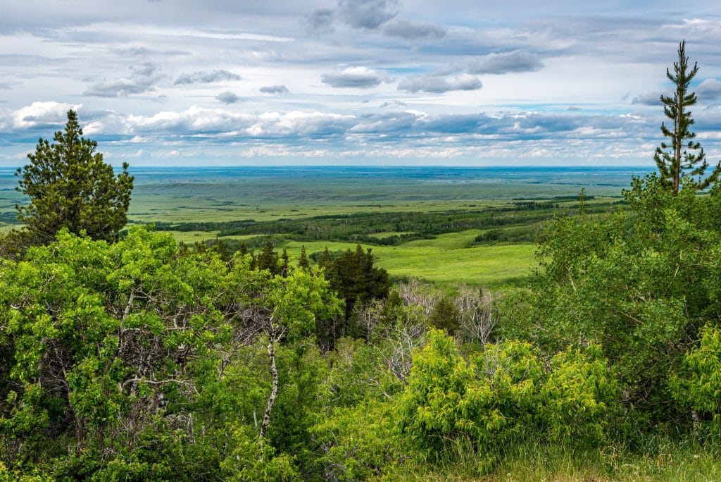 Centraal Canada SK Cypress Hills Interprovincial Park uitzicht over groene heuvels en bossen