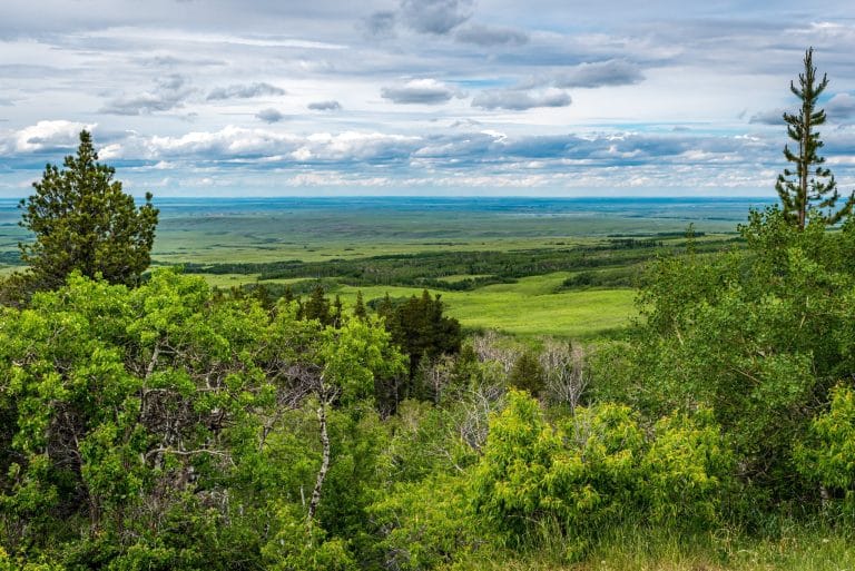Centraal Canada SK Cypress Hills Interprovincial Park uitzicht over groene heuvels en bossen