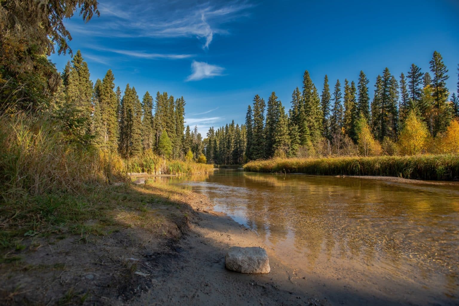 Centraal Canada SK Prince Albert National Park rivier met dennenbos in herfst