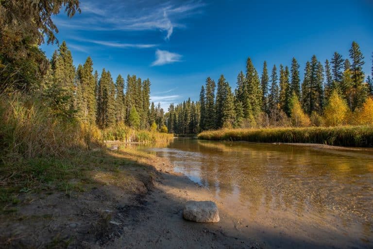 Centraal Canada SK Prince Albert National Park rivier met dennenbos in herfst