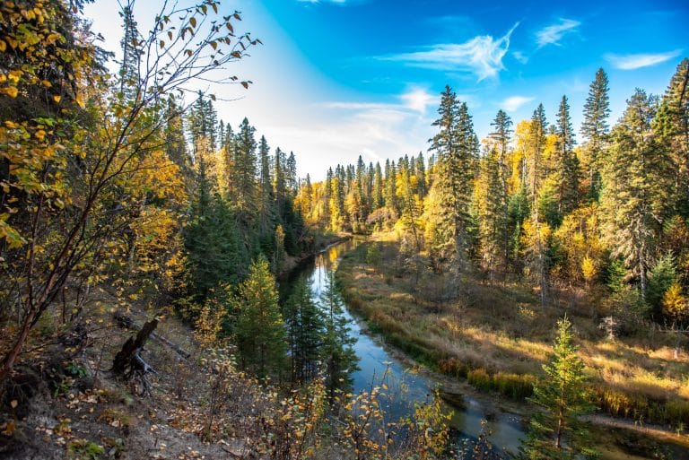 Centraal Canada SK Prince Albert National Park rivierdal met herfstbos