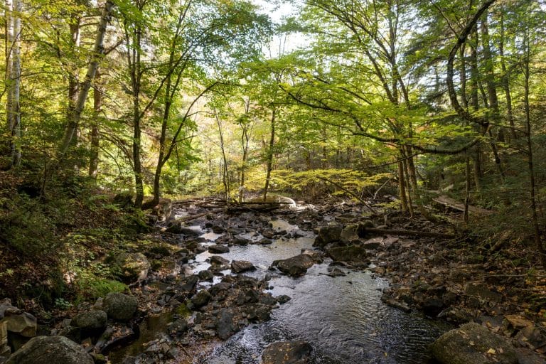 Oost Canada ON Algonquin Provincial Park bosbeek met rotsen