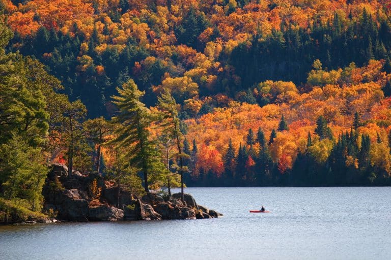 Oost Canada ON Algonquin Provincial Park herfstbos met meer en kano