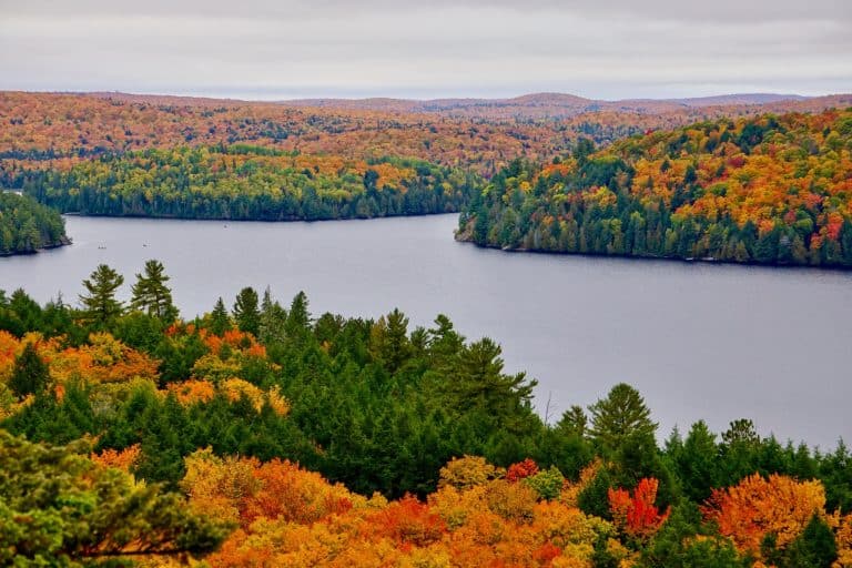 Oost Canada ON Algonquin Provincial Park panorama meer in herfst