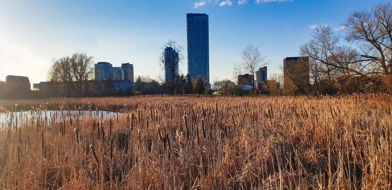 Oost Canada ON Ottawa natuurgebied met skyline