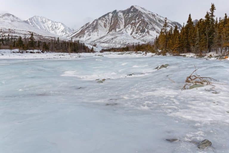 Yukon Kluane National Park IJzige rivier en besneeuwde bergen