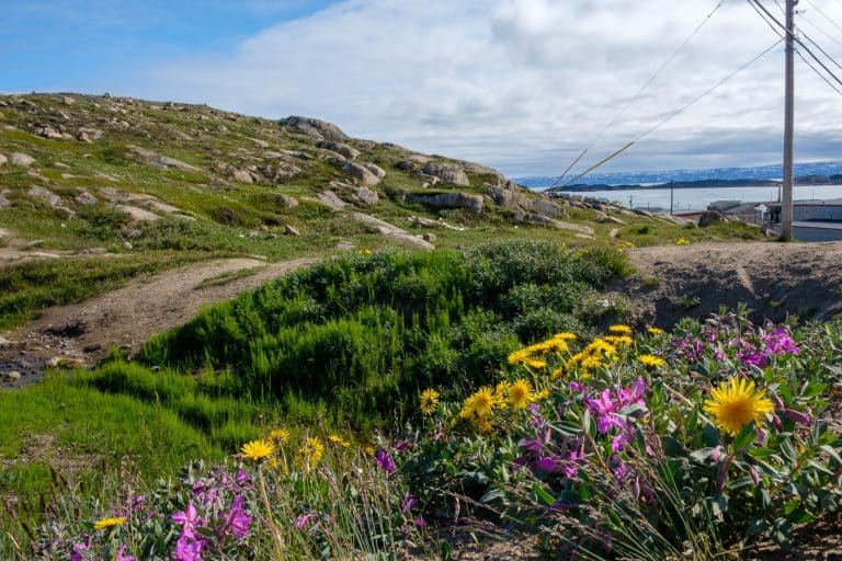 Yukon Noord Canada NU Iqaluit zomerse toendra met velden en kustlijn