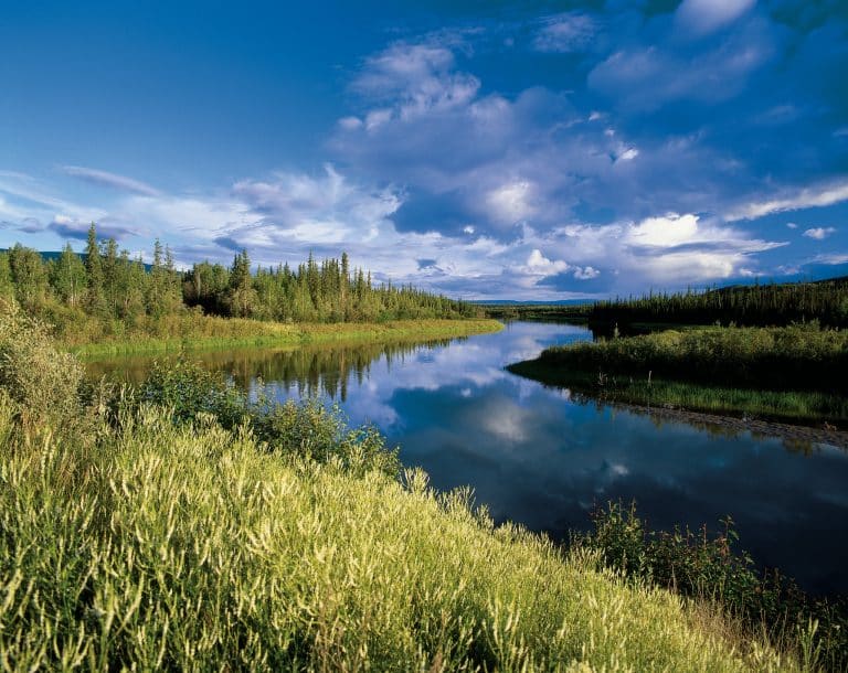 Yukon YT Mayo rivierlandschap met bos en lucht