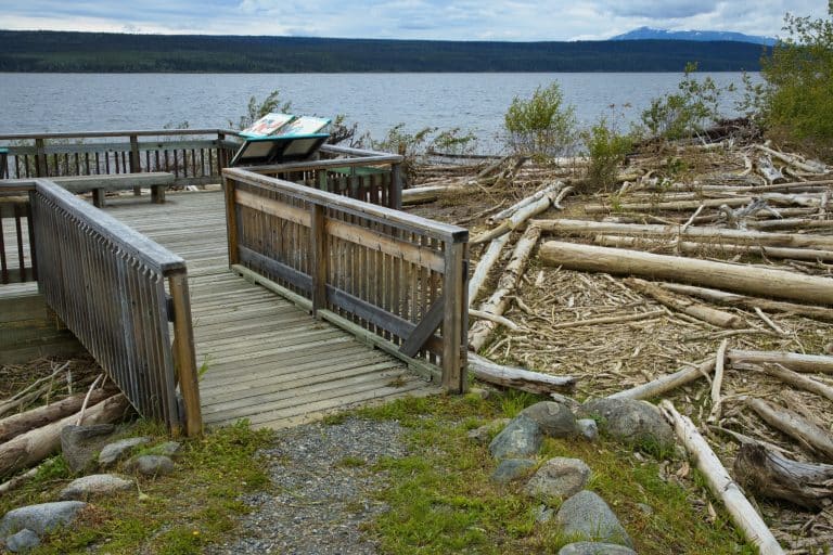 Yukon YT Teslin uitkijkpunt aan Teslin Lake met drijfhout