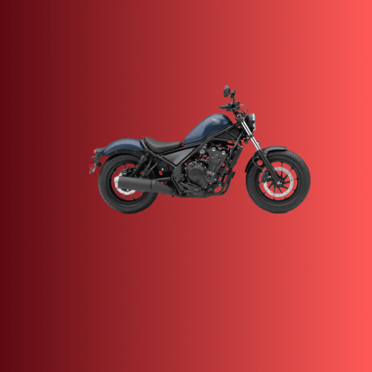 Honda Rebel 500 - motor zijaancizht