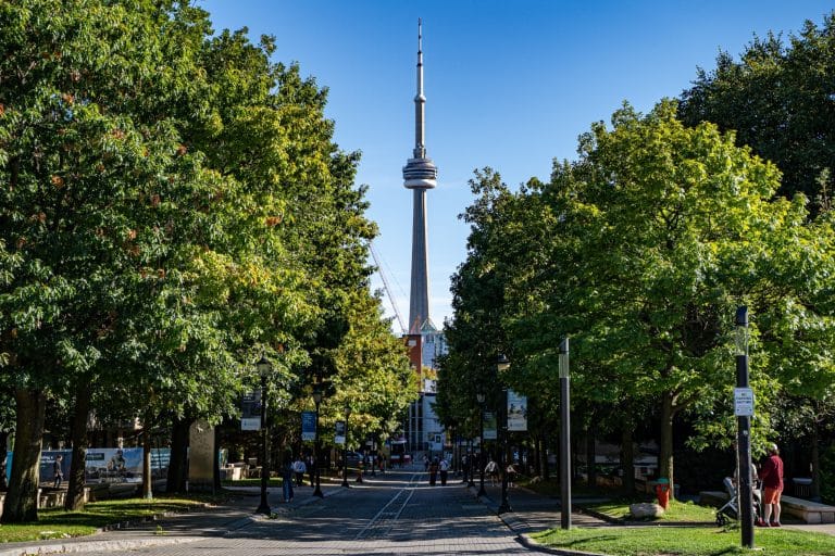 Oost Canada ON Toronto CN Tower vanaf park met bomen