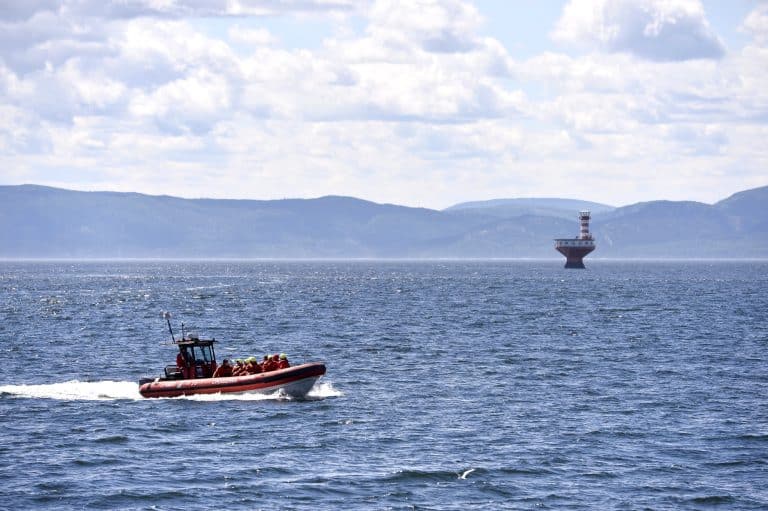Oost Canada QC Quebec City whale watching boot op de Saint Lawrence rivier