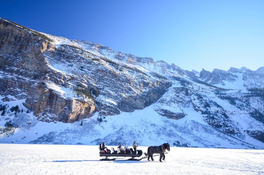 West Canada AB Banff National Park paardenslee op besneeuwde vlakte met bergen