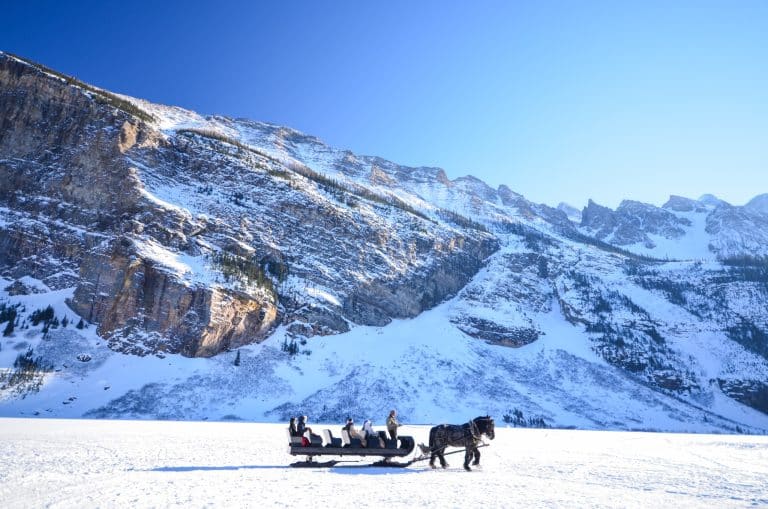 West Canada AB Banff National Park paardenslee op besneeuwde vlakte met bergen
