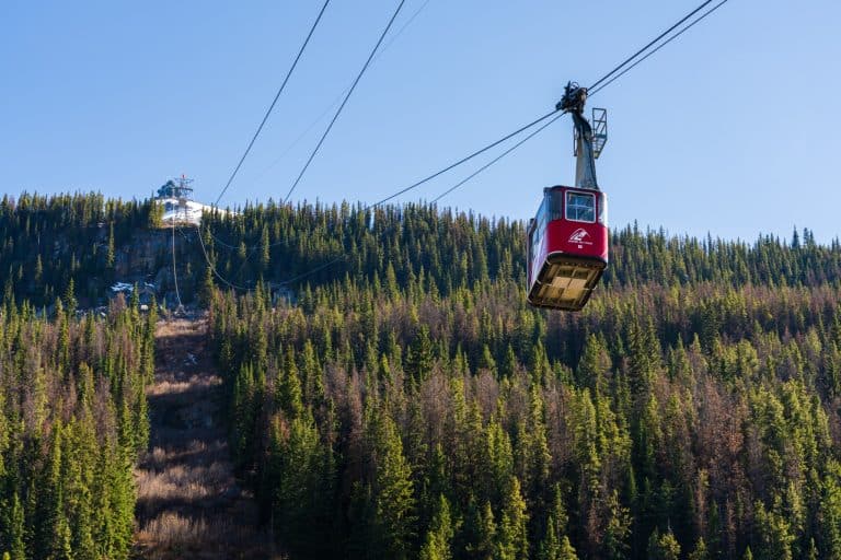 West Canada AB Jasper Jasper SkyTram boven bosrijke helling