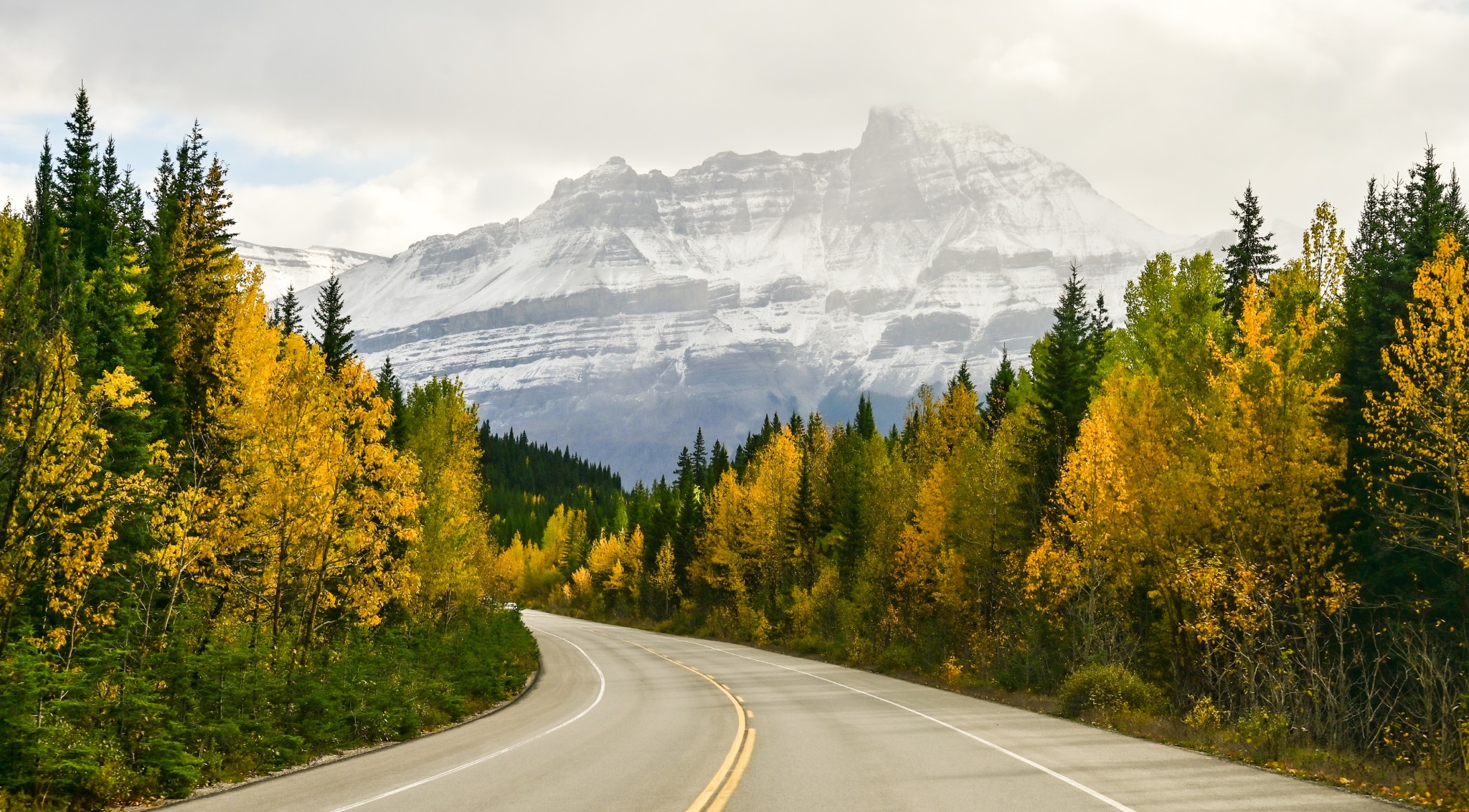 West Canada AB Jasper National Park Icefields Parkway herfst