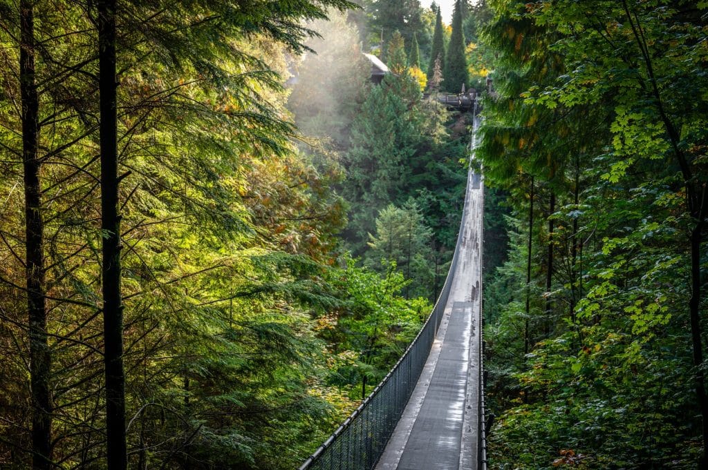 West Canada BC Capilano Suspension Bridge hangbrug door regenwoud overdag