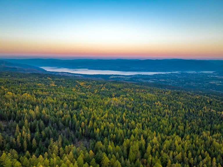 Okanagan Valley bij Kelowna met bos en meer bij zonsondergang