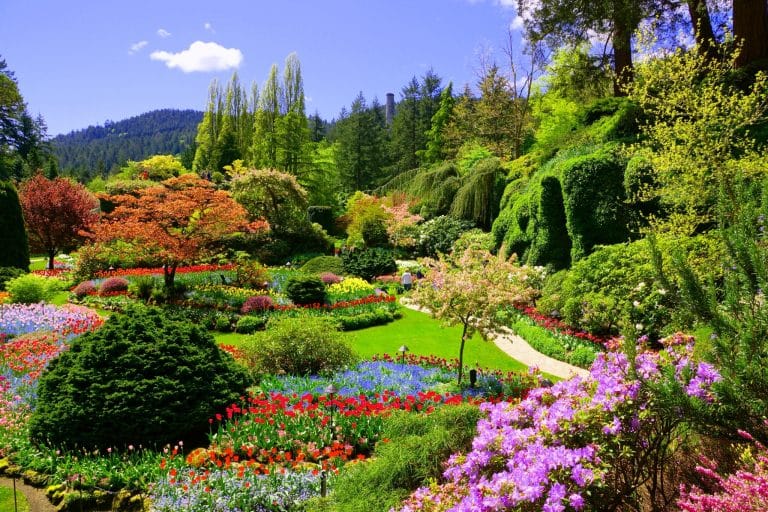 West Canada BC Victoria Butchart Gardens bloembedden en wandelpaden