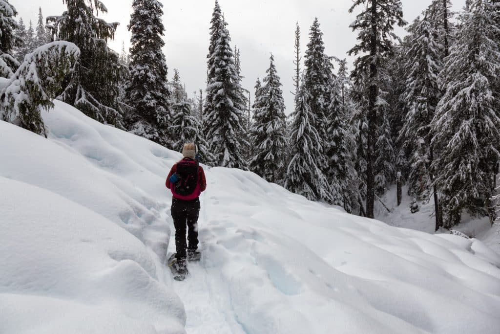 West Canada BC Whistler snowshoe trail besneeuwde bergenbos