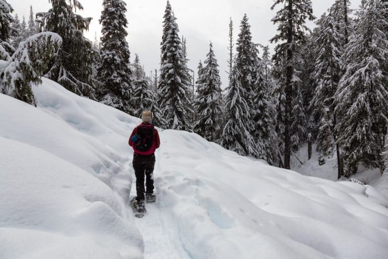 West Canada BC Whistler snowshoe trail besneeuwde bergenbos