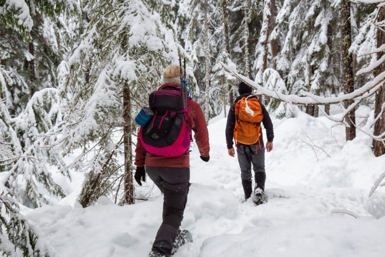 West Canada BC Whistler snowshoe wandelaars besneeuwd bos
