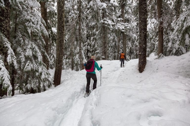 West Canada BC Whistler snowshoe wandelen besneeuwd bos