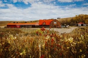 Historic Reesor Ranch met Old Log Barn tussen grasland en herfstbegroeiing.