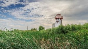 Hecla/Grindstone Provincial Park met Hecla Lighthouse tussen riet en moerasvegetatie.
