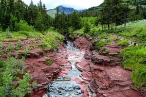 Waterton Lakes National Park met rode rotscanyon, beek en naaldbos.